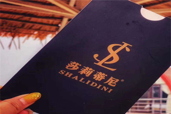 莎莉蒂尼化妆品