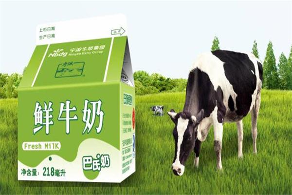 新鲜屋牛奶加盟