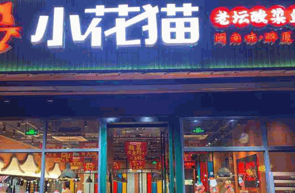 小花猫酸菜鱼