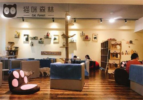 猫咪森林咖啡