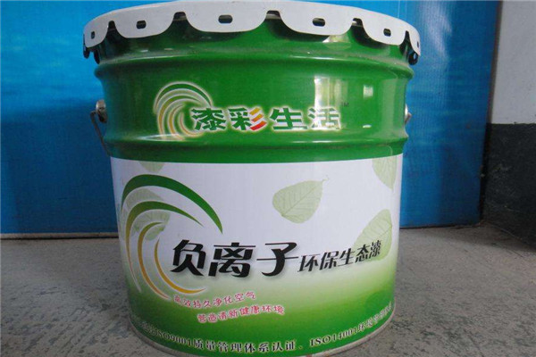 赛德丽漆加盟