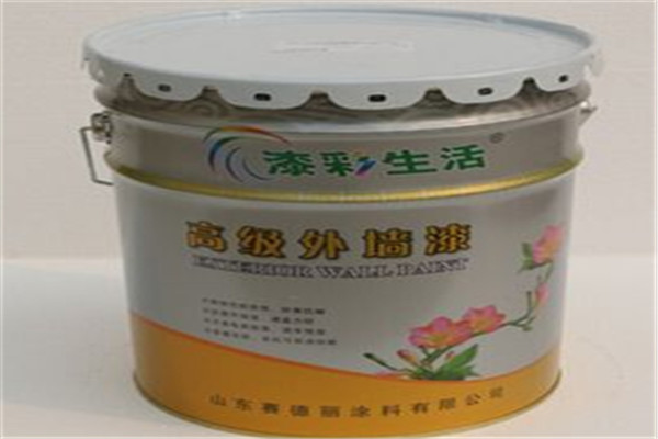 赛德丽漆加盟