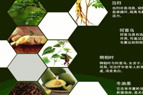 弘瑶加盟