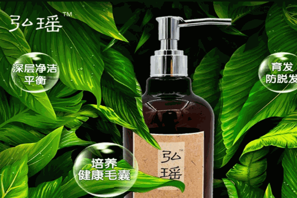 弘瑶加盟