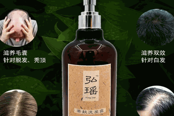弘瑶加盟