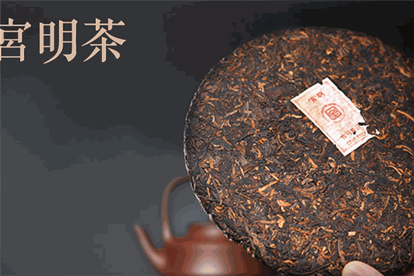 宫明茶叶加盟