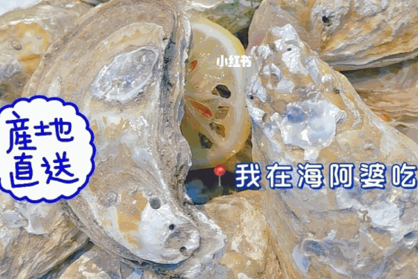 海阿婆焗海鲜