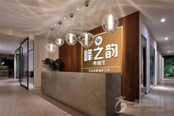 峰之韵美胸馆加盟