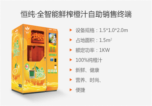 恒纯科技