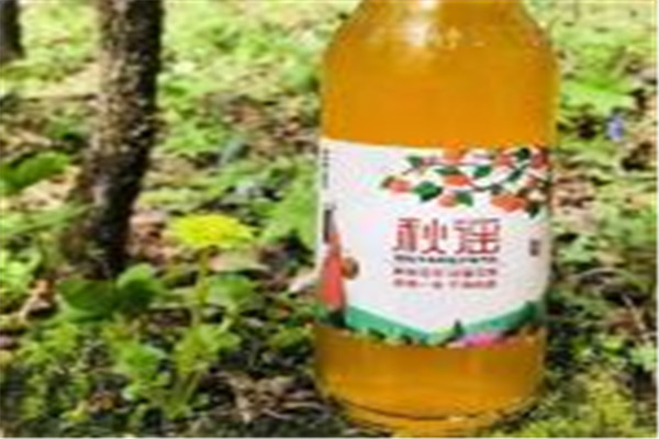 秋谣汽水加盟