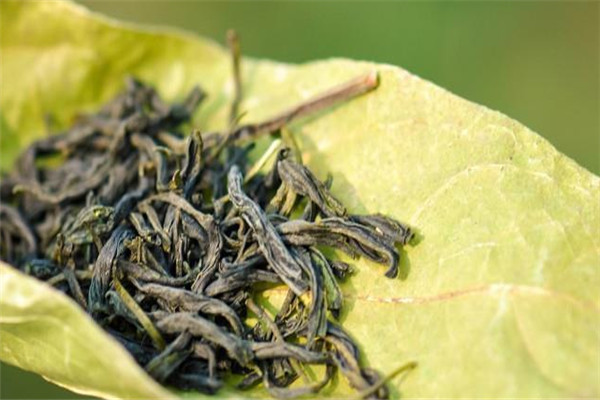 神马茶业加盟