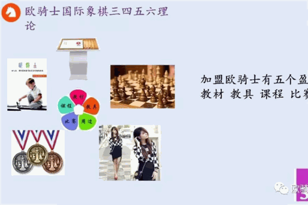 欧骑士国际象棋加盟