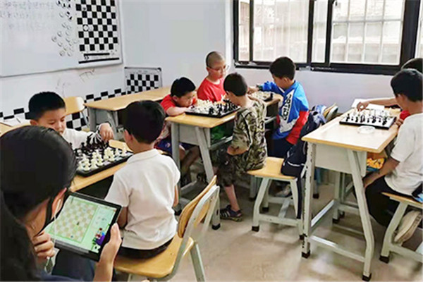 欧骑士国际象棋加盟