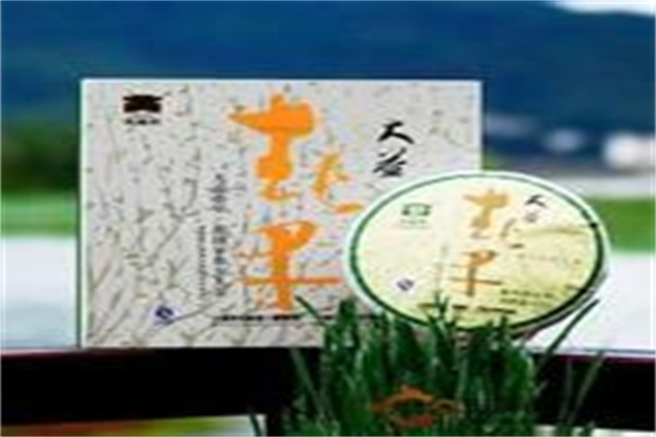大益普洱茶叶
