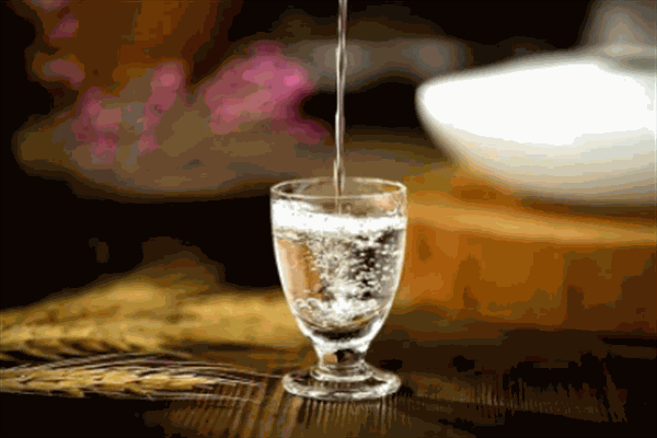 获嘉古殷白酒加盟