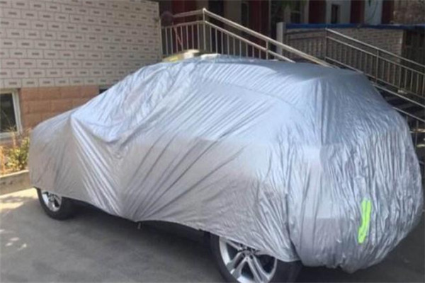 乐爽自动遥控车衣加盟