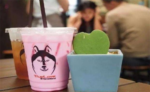 二哈奶茶