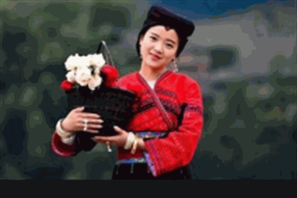 潘米汤养发加盟