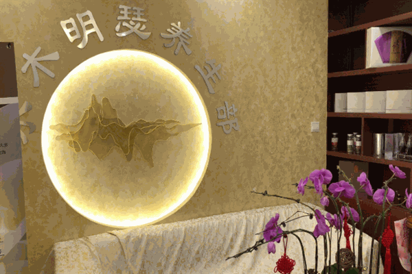 水木明瑟减肥加盟