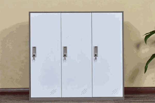 龙立衣柜加盟