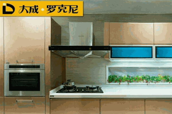 大成罗克尼橱柜加盟