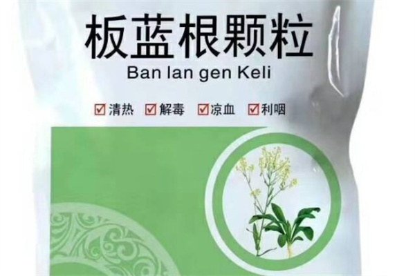 蓝根