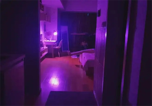 爱情鸟成人体验馆