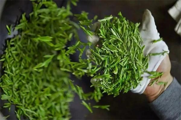 龙井茶茶饮