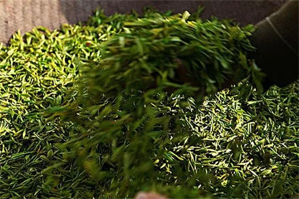龙井茶茶饮