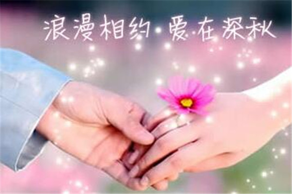 金凤凰婚介所加盟