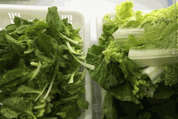黔豆园豆米火锅野菜馆