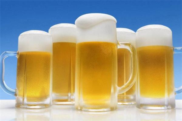 斑马精酿啤酒招商