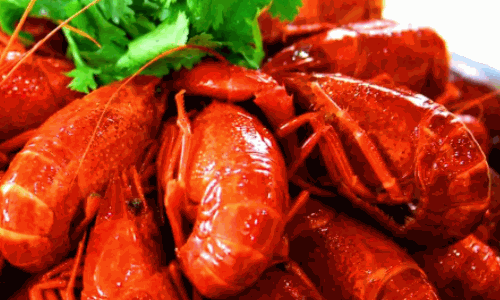 炉茶小龙虾肉蟹煲