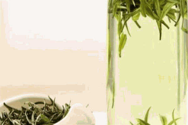 华羽村白茶加盟