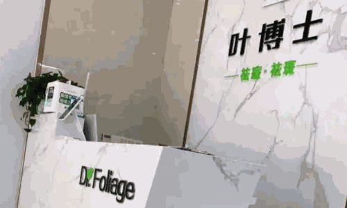 叶博士祛斑祛痘