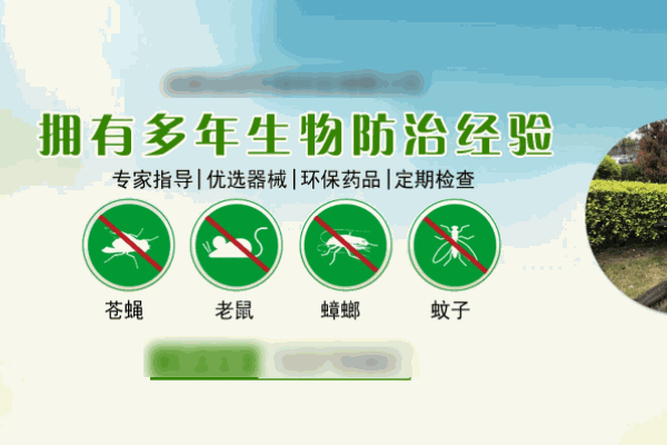 帮帮控虫