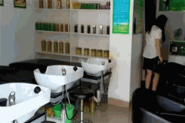 茶麸洗头店加盟