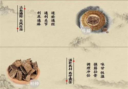 苗瑶古方膏药铺