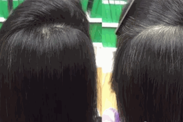 邱中乔黑发加盟