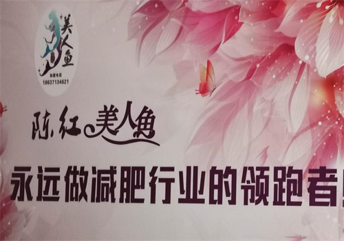 陈红美人鱼减肥