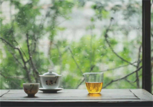 司茶有道