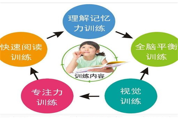 妙学巧记全脑记忆