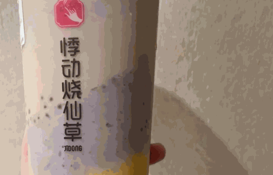 悸动烧仙草