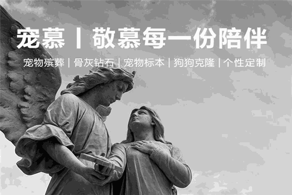 宠慕宠物殡葬中心加盟