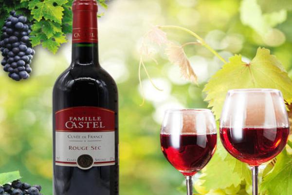 castel红酒招商