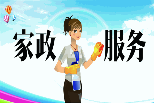 家政中国