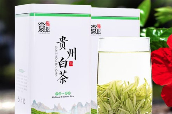 正安白茶
