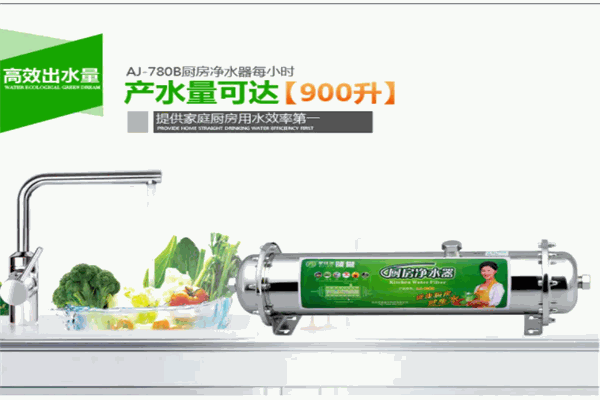 艾淇尔净水器