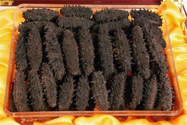 富渔岛大连海参