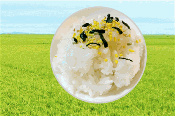 水韵清禾米业加盟